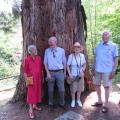 VISIT TO THE PARCO BOTANICO DI GAMBAROGNO 12 June 2017 011