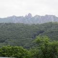 Walk with Mike & tea with Tulay 30 May 2018 024