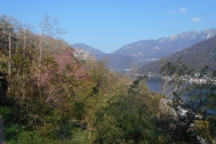 DSCN3001