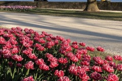 IMG_1630_web