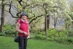 IMG_1159-Copia