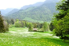 Picture5